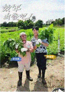 美食综艺与料理题材观察配图